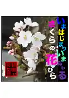 耕田院(山形県)