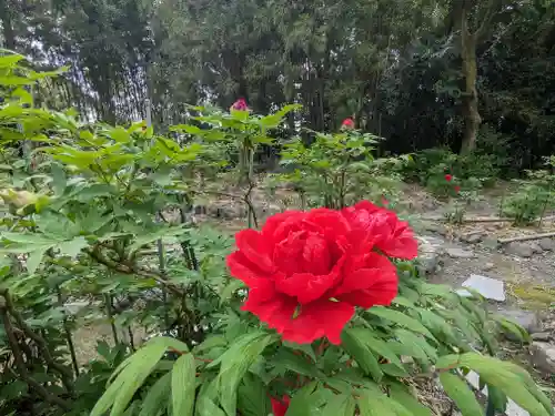 総持寺(滋賀県)