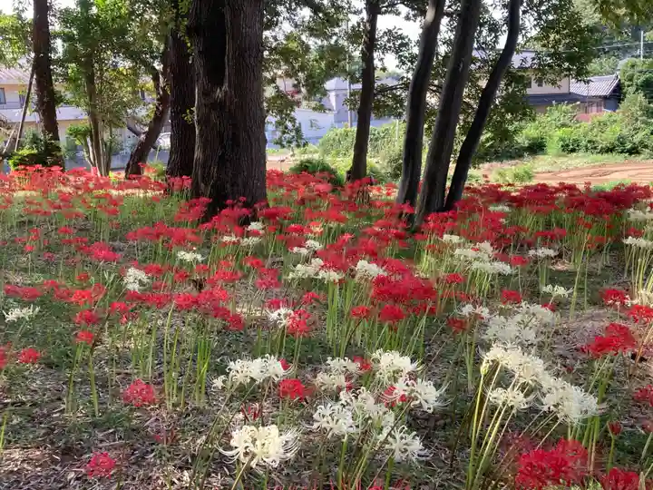 祖光院(千葉県)