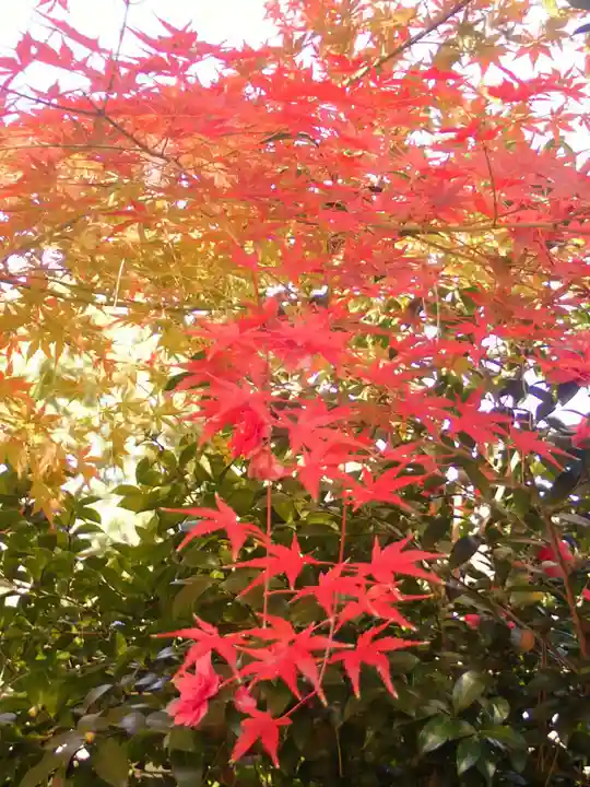 戸部杉山神社(神奈川県)