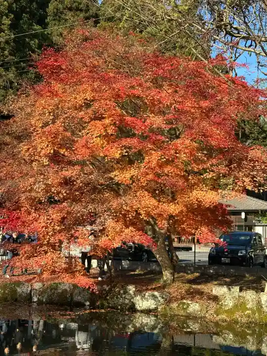 龍泉寺の{uncategorized: "未分類", other: "その他", undefined: "問題あり", building: "その他建物", grave: "お墓", sacred_gate: "鳥居", guardian: "狛犬", statue: "像", buddha: "仏像", history: "歴史", nature: "自然", garden: "庭園", animal: "動物", pagoda: "塔", temizu: "手水舎", mountain_gate: "山門・神門", sanctuary: "本殿・本堂", subordinate: "末社・摂社", art: "芸術", scenery: "景色", jizo: "地蔵", ema: "絵馬", goshuin: "御朱印", omikuji: "おみくじ", items: "授与品その他", amulet: "お守り", goshuincho: "御朱印帳", eats: "食事", festival: "お祭り", votive_dance: "神楽", shichigosan: "七五三参", wedding: "結婚式", experience: "体験その他", initially: "初詣", around: "周辺", anti_infection: "感染症対策"}