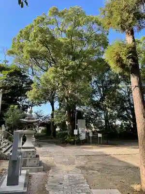 天疫神社(福岡県)