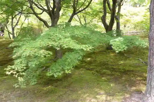 東福禅寺（東福寺）(京都府)