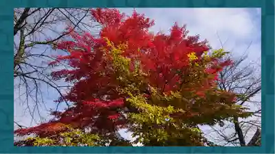 茂左衛門地蔵尊 千日堂(群馬県)