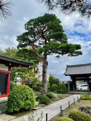 善明寺(東京都)