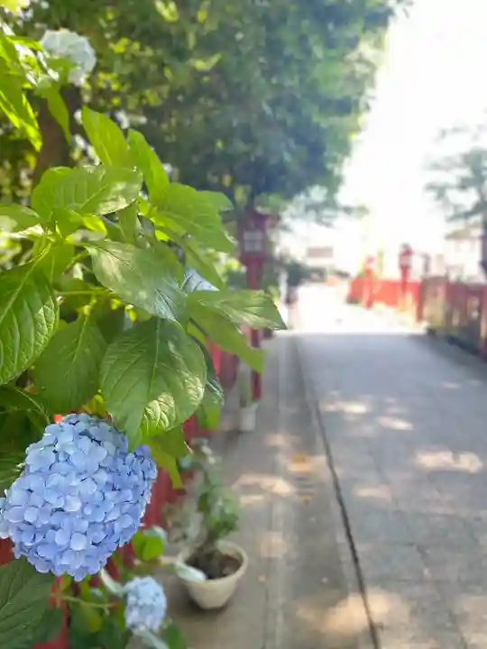 川越八幡宮(埼玉県)