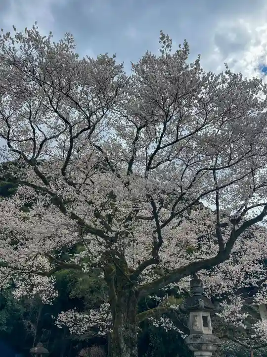 岐阜護國神社の{uncategorized: "未分類", other: "その他", undefined: "問題あり", building: "その他建物", grave: "お墓", sacred_gate: "鳥居", guardian: "狛犬", statue: "像", buddha: "仏像", history: "歴史", nature: "自然", garden: "庭園", animal: "動物", pagoda: "塔", temizu: "手水舎", mountain_gate: "山門・神門", sanctuary: "本殿・本堂", subordinate: "末社・摂社", art: "芸術", scenery: "景色", jizo: "地蔵", ema: "絵馬", goshuin: "御朱印", omikuji: "おみくじ", items: "授与品その他", amulet: "お守り", goshuincho: "御朱印帳", eats: "食事", festival: "お祭り", votive_dance: "神楽", shichigosan: "七五三参", wedding: "結婚式", experience: "体験その他", initially: "初詣", around: "周辺", anti_infection: "感染症対策"}