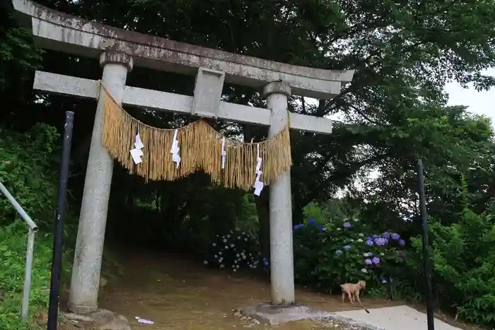 八幡神社の鳥居