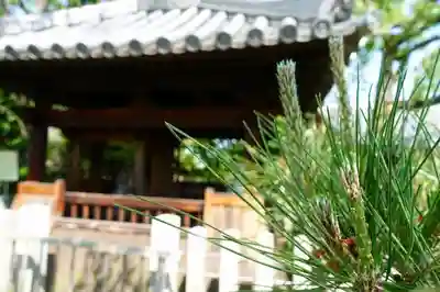 石光寺のその他建物