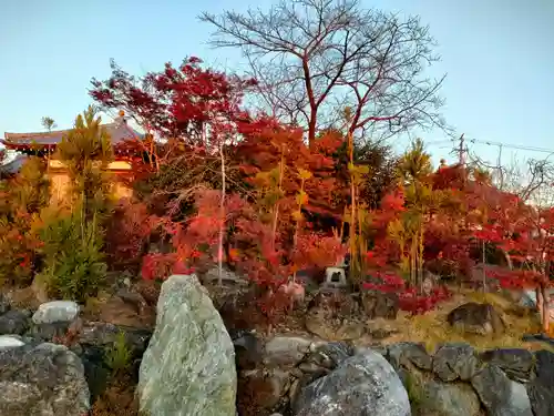 石薬師寺の建物その他