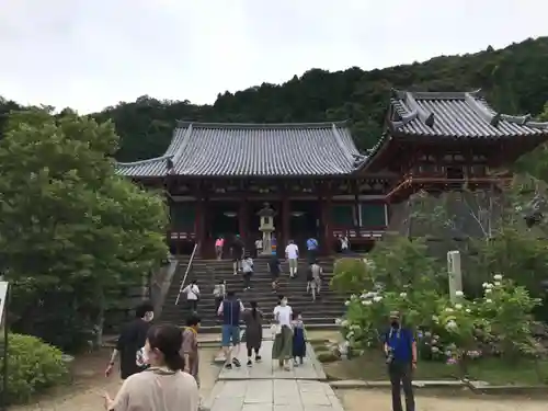 矢田寺の本殿・本堂