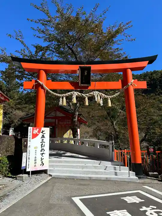 金櫻神社(山梨県)