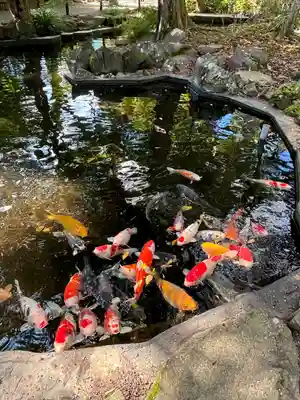 伊豆山神社(静岡県)