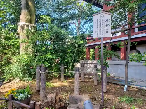 川越八幡宮(埼玉県)