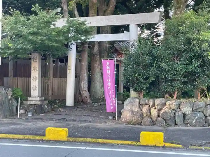 世木神社の鳥居