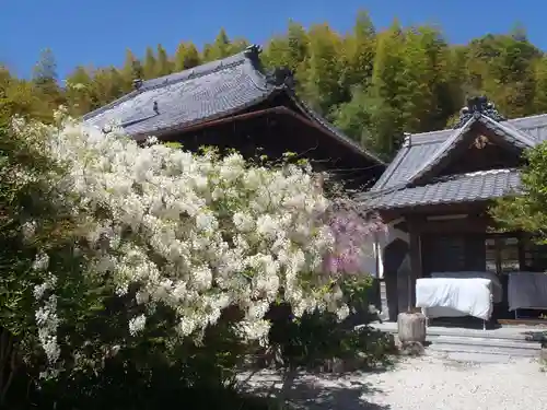 西光寺(愛知県)