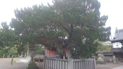 高砂神社の自然