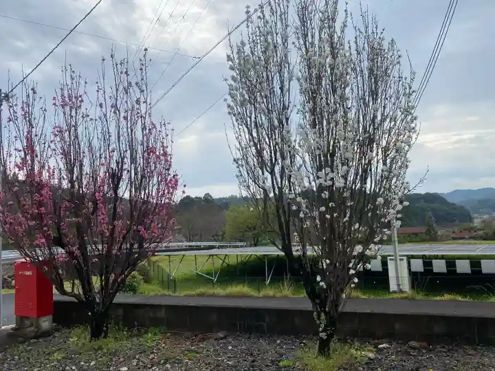善昌寺の{uncategorized: "未分類", other: "その他", undefined: "問題あり", building: "その他建物", grave: "お墓", sacred_gate: "鳥居", guardian: "狛犬", statue: "像", buddha: "仏像", history: "歴史", nature: "自然", garden: "庭園", animal: "動物", pagoda: "塔", temizu: "手水舎", mountain_gate: "山門・神門", sanctuary: "本殿・本堂", subordinate: "末社・摂社", art: "芸術", scenery: "景色", jizo: "地蔵", ema: "絵馬", goshuin: "御朱印", omikuji: "おみくじ", items: "授与品その他", amulet: "お守り", goshuincho: "御朱印帳", eats: "食事", festival: "お祭り", votive_dance: "神楽", shichigosan: "七五三参", wedding: "結婚式", experience: "体験その他", initially: "初詣", around: "周辺", anti_infection: "感染症対策"}