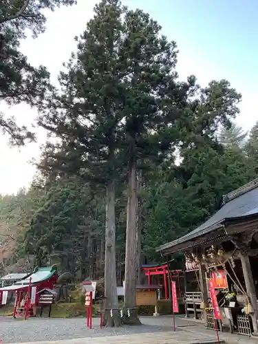 志和稲荷神社の本殿