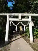下野 星宮神社の鳥居