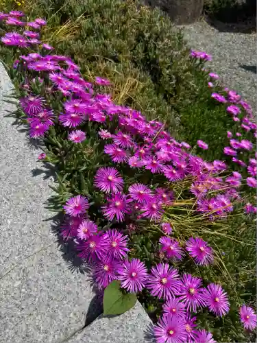 宝帒寺(神奈川県)