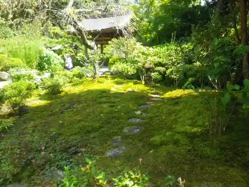 海蔵寺の庭園