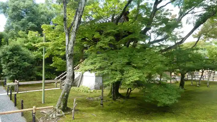 鹿苑寺(金閣寺)(京都府)