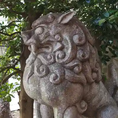 築土神社の狛犬