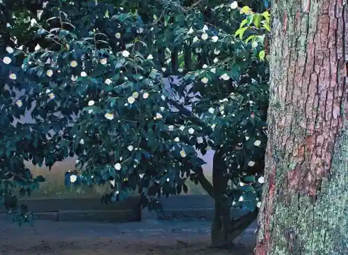 三津厳島神社(愛媛県)