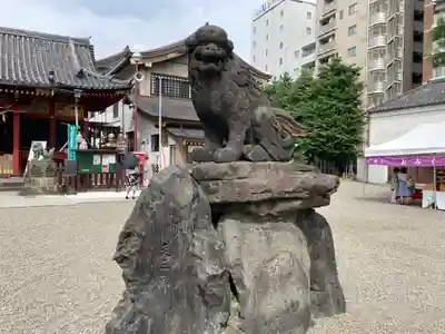 浅草神社の狛犬