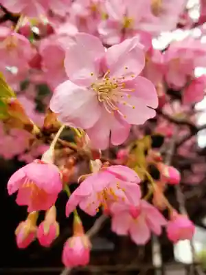 新宿下落合氷川神社(東京都)