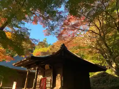 普門寺(切り絵御朱印発祥の寺)の本殿・本堂
