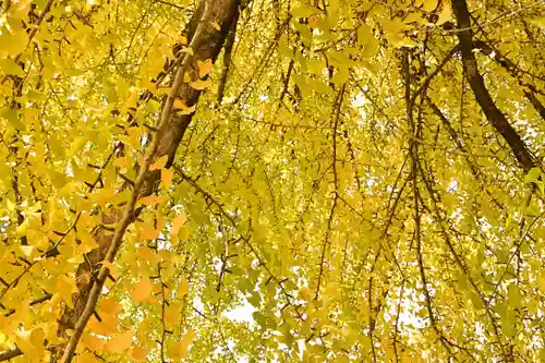 正法寺(滋賀県)