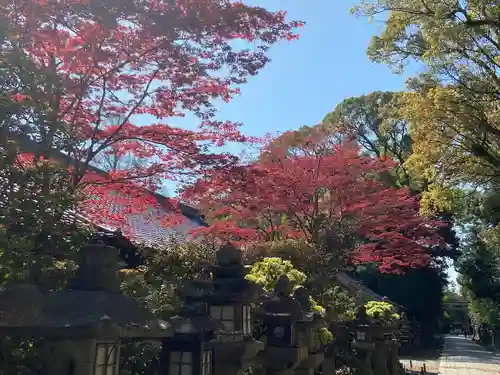 石清水八幡宮(京都府)
