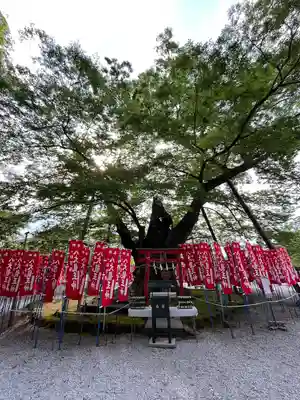 秩父今宮神社(埼玉県)