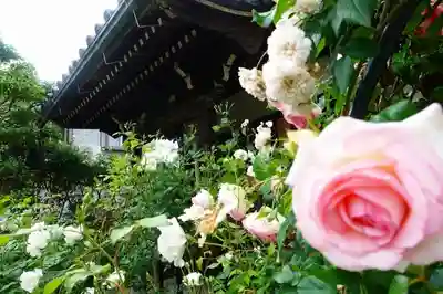 おふさ観音(観音寺)の末社・摂社