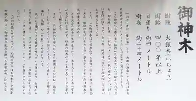 鎌数伊勢大神宮の歴史