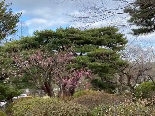 開成山大神宮の庭園