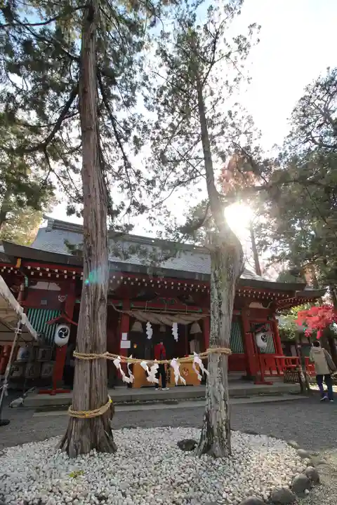 生島足島神社の自然