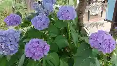 大野神社の自然