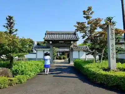 白雲寺の山門・神門