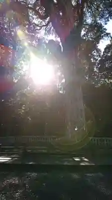 霧島神宮のその他建物