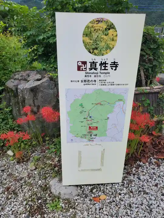 真性寺(埼玉県)