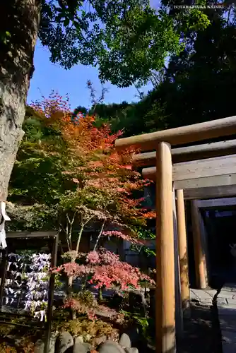 銭洗弁財天宇賀福神社(神奈川県)
