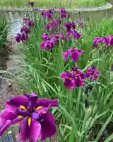 伊佐須美神社の庭園