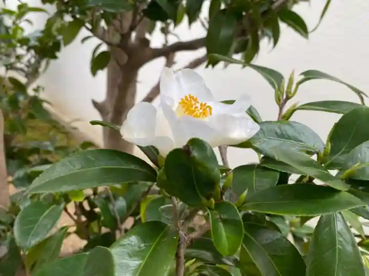 西方山極楽寺(岐阜県)