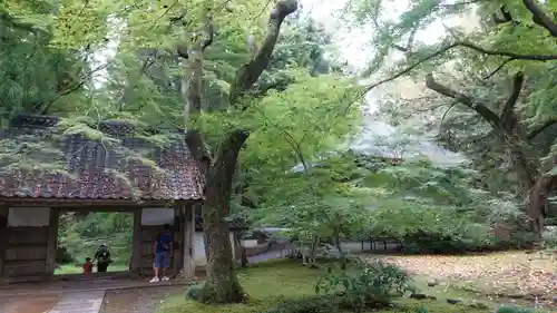中尊寺金色堂(岩手県)
