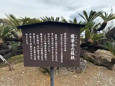 龍華寺(静岡県)