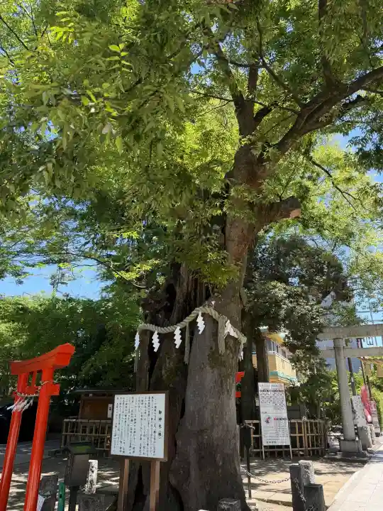 新田神社の{uncategorized: "未分類", other: "その他", undefined: "問題あり", building: "その他建物", grave: "お墓", sacred_gate: "鳥居", guardian: "狛犬", statue: "像", buddha: "仏像", history: "歴史", nature: "自然", garden: "庭園", animal: "動物", pagoda: "塔", temizu: "手水舎", mountain_gate: "山門・神門", sanctuary: "本殿・本堂", subordinate: "末社・摂社", art: "芸術", scenery: "景色", jizo: "地蔵", ema: "絵馬", goshuin: "御朱印", omikuji: "おみくじ", items: "授与品その他", amulet: "お守り", goshuincho: "御朱印帳", eats: "食事", festival: "お祭り", votive_dance: "神楽", shichigosan: "七五三参", wedding: "結婚式", experience: "体験その他", initially: "初詣", around: "周辺", anti_infection: "感染症対策"}