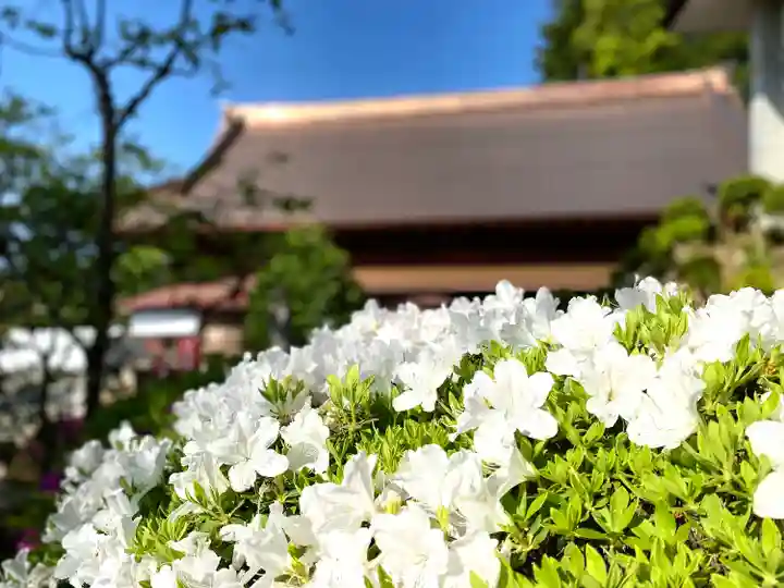 座光如来寺(元善光寺)(長野県)